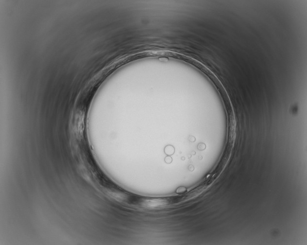 X0000115110275200912081328