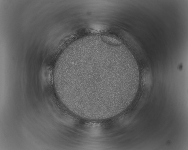 X0000115110276200912081328