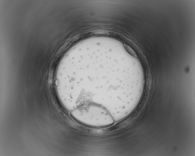 X0000115110277200912081328