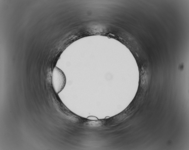 X0000115110279200912081328