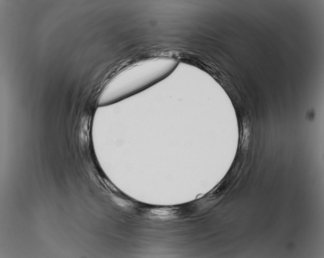 X0000115110280200912081328