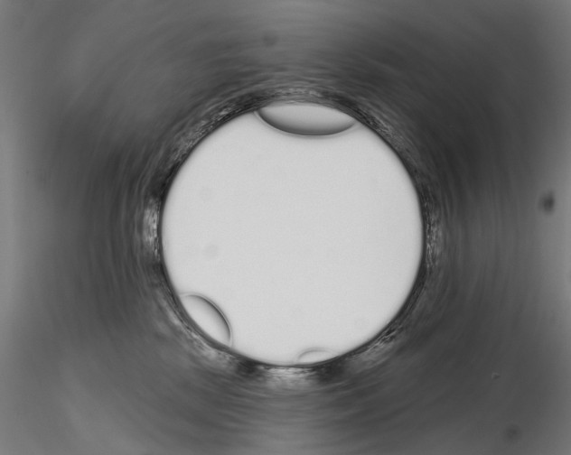 X0000115110281200912081328