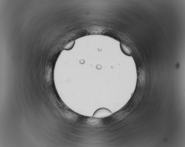 X0000115110283200912081328