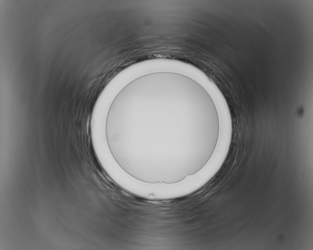 X0000115110284200912081328