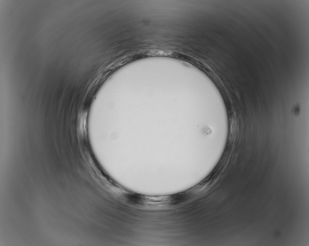 X0000115110286200912081328