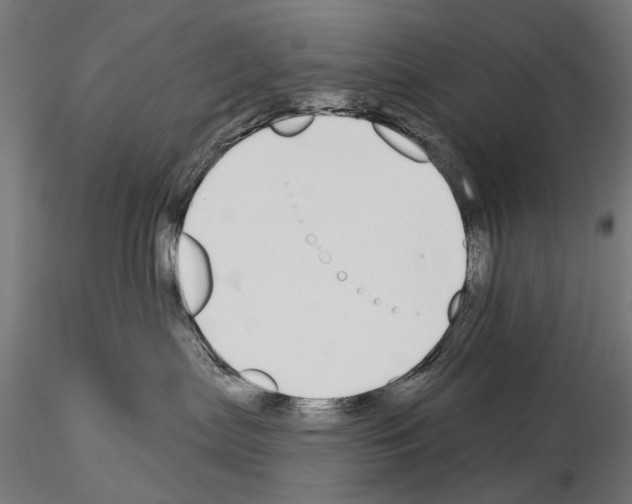 X0000115110287200912081328