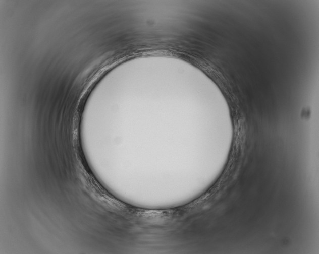 X0000115110290200912081327