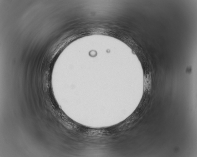 X0000115110291200912081327