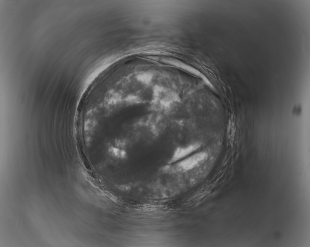 X0000115110292200912081327