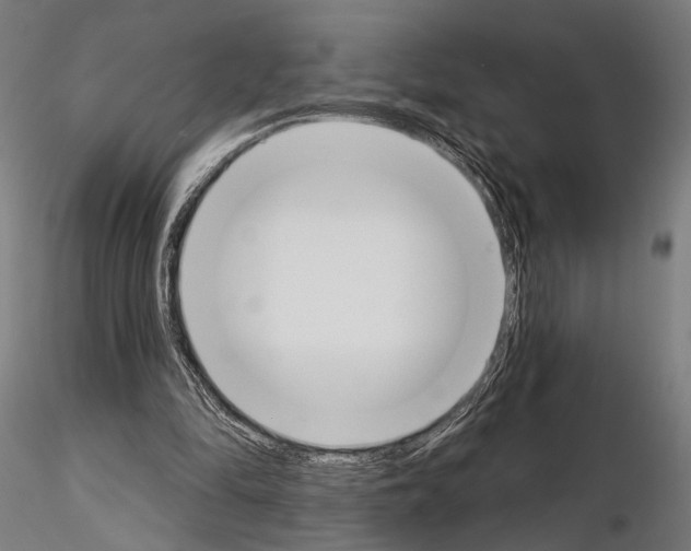 X0000115110294200912081327