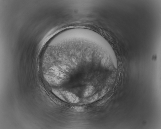 X0000115110295200912081327