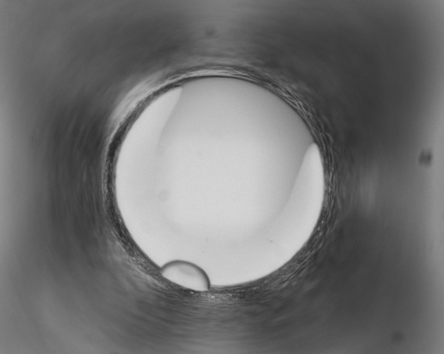 X0000115110296200912081327