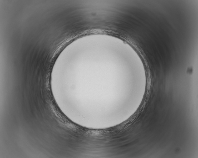 X0000115110297200912081327