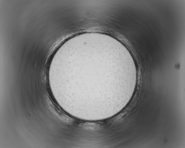 X0000115110298200912081327