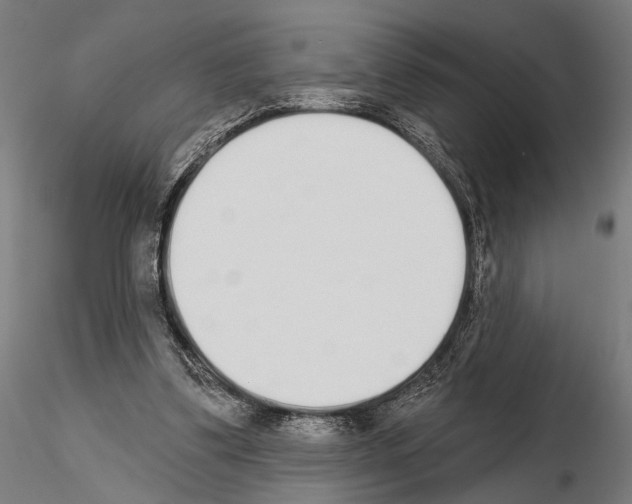 X0000115110299200912081327