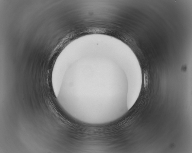 X0000115110300200912081327