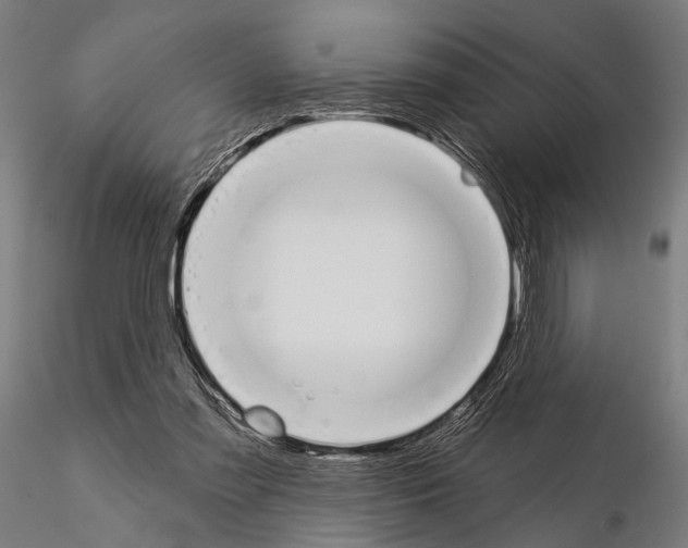 X0000115110301200912081327