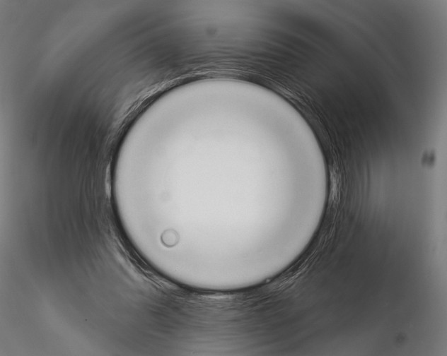 X0000115110302200912081327