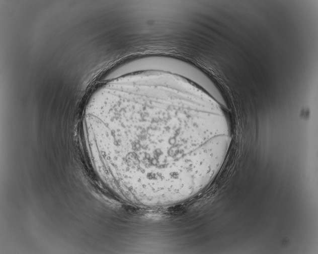 X0000115110303200912081327