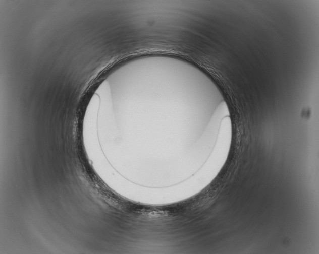 X0000115110304200912081327