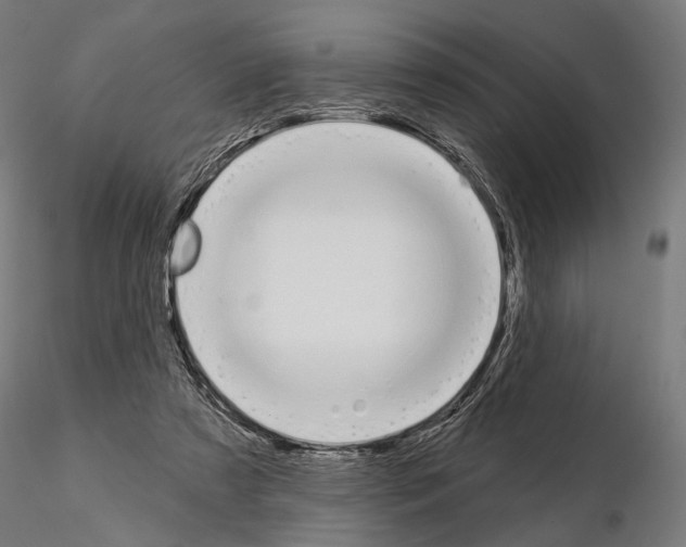 X0000115110305200912081327