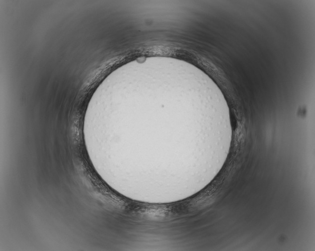 X0000115110306200912081327