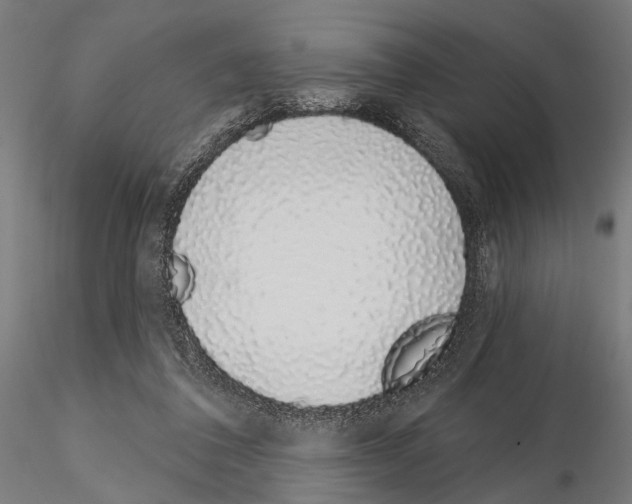 X0000115110308200912081327