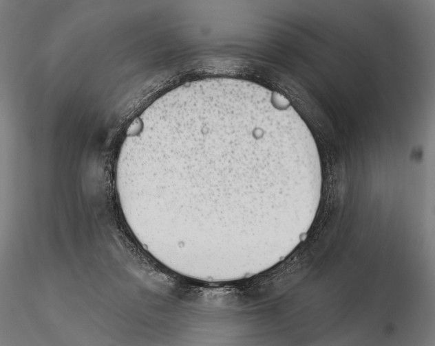 X0000115110309200912081327