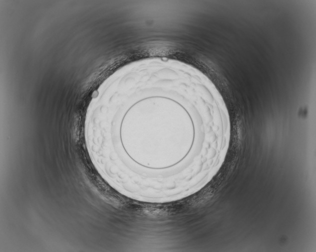 X0000115110311200912081327