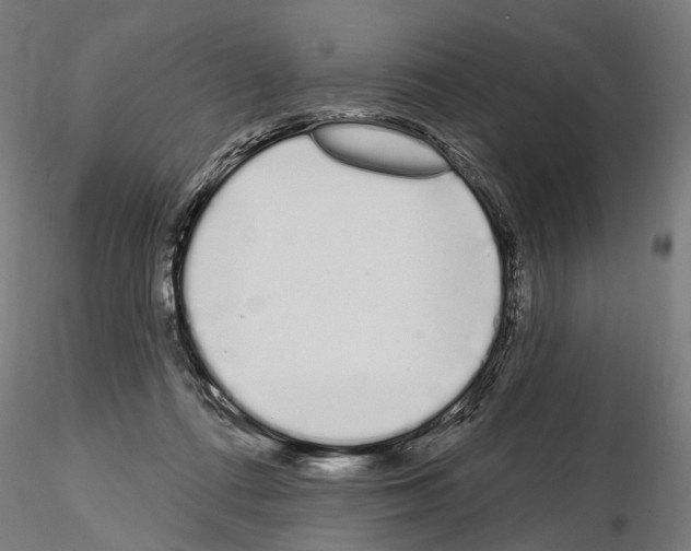 X0000115110312200912081327