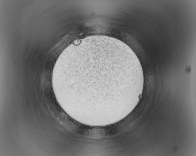 X0000115110313200912081327