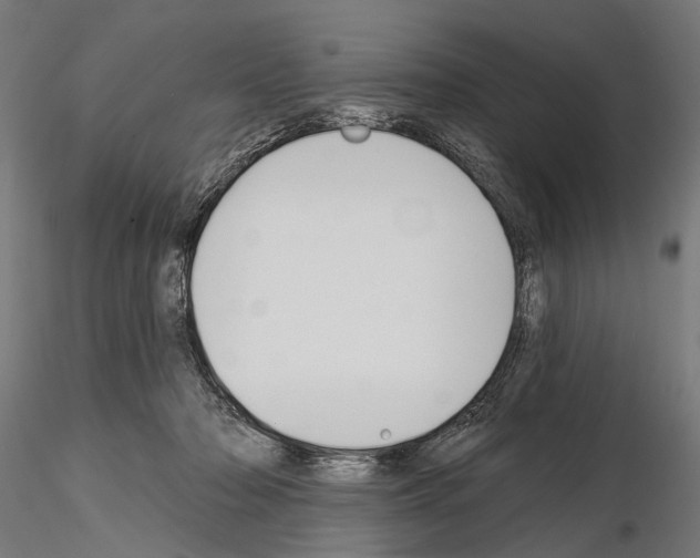 X0000115110318200912081327