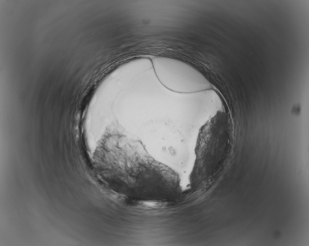 X0000115110319200912081327