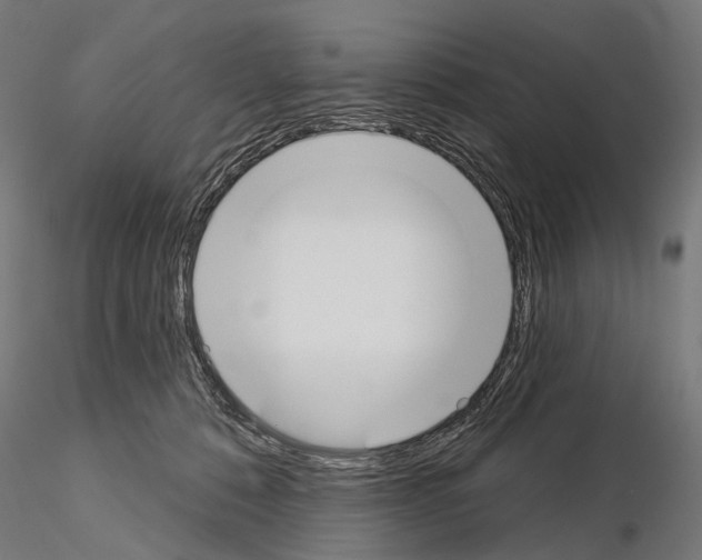 X0000115110320200912081327