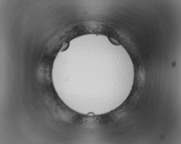 X0000115110323200912081327