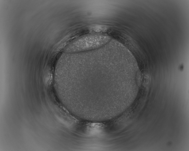 X0000115110324200912081327