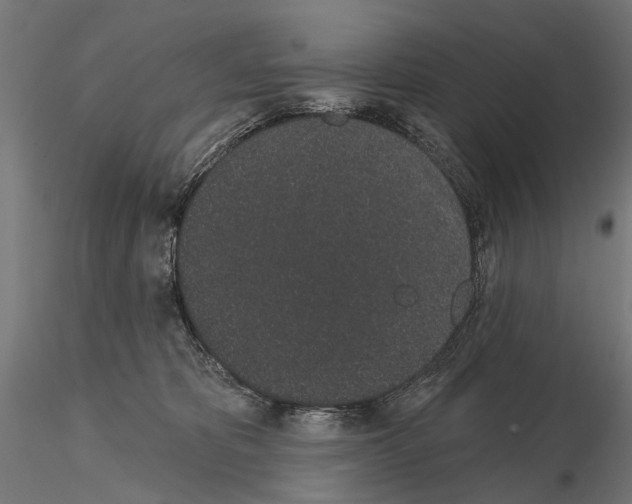 X0000115110325200912081327