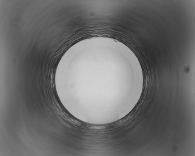 X0000115110328200912081327