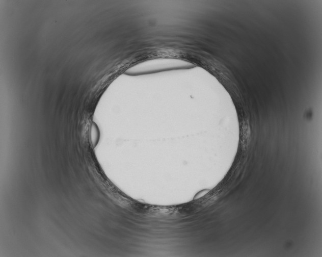 X0000115110329200912081327