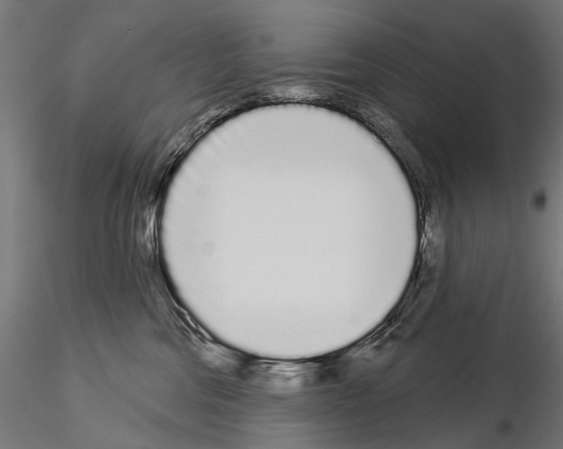 X0000115110330200912081327