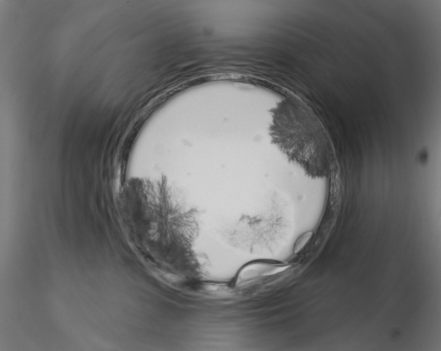 X0000115110331200912081327