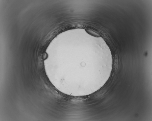 X0000115110332200912081327