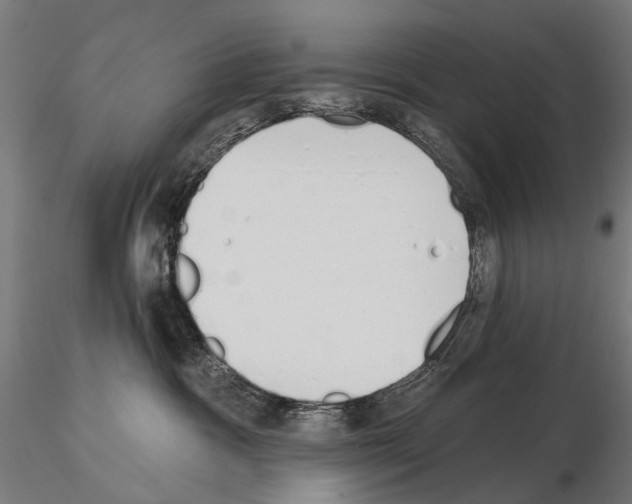 X0000115110333200912081327