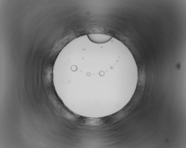 X0000115110334200912081327