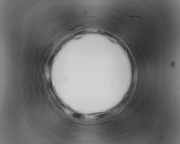 X0000115110335200912081327