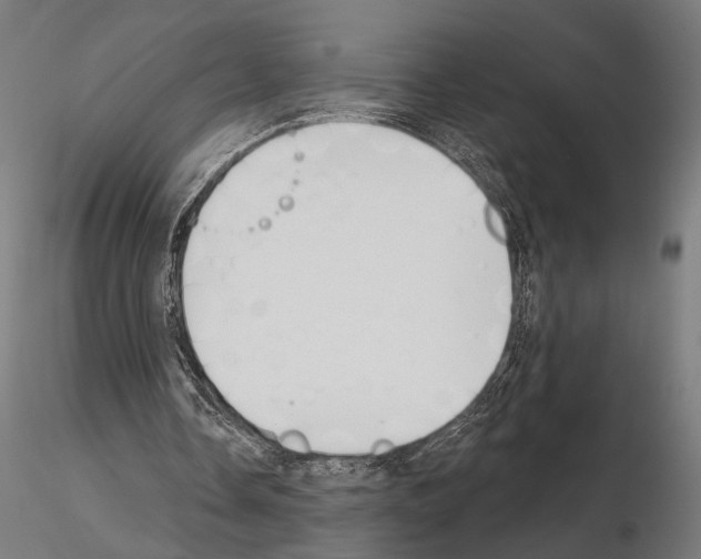 X0000115110338200912081326