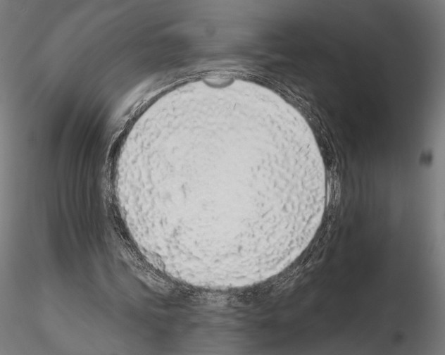 X0000115110339200912081326