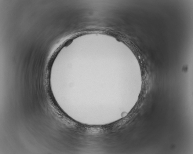 X0000115110342200912081326