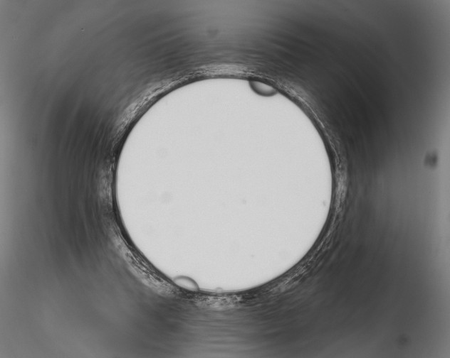 X0000115110345200912081326