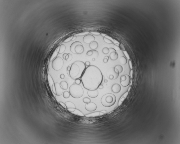 X0000115110346200912081326